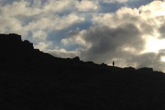 IMG_6117
