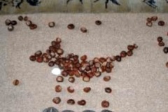 Photo26