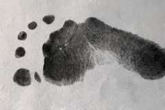 Photo13