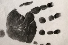 Photo14