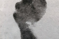Photo15